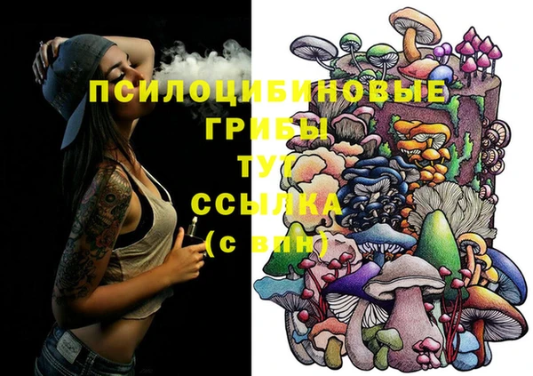прущий лед Алексеевка