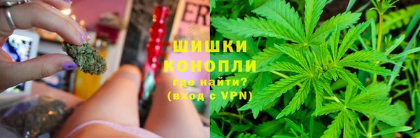 гидра Алексин
