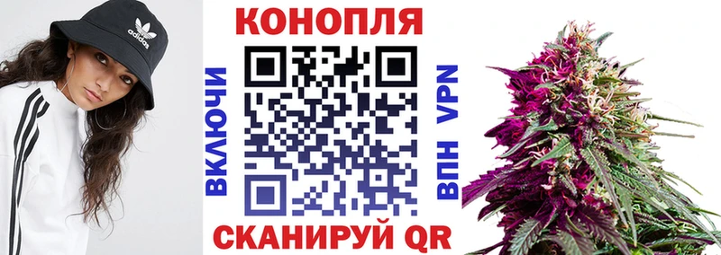 Конопля гибрид  наркота  Куйбышев 
